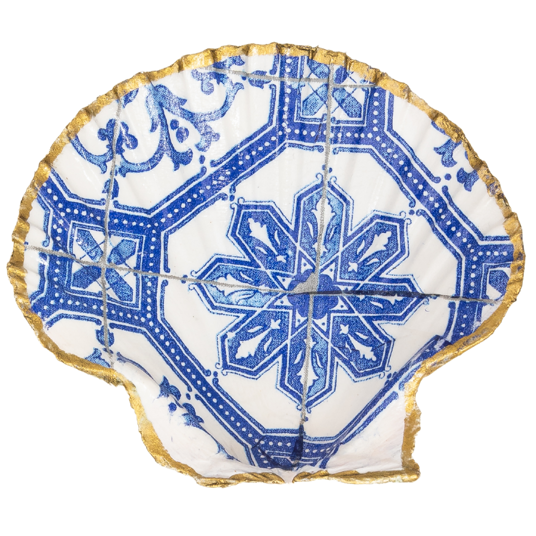 Scallop Shells-Various Designs – THE COLLECTIVE - HOUT BAY