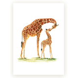 Envirokid Animal Cards with Envelope-Various Designs