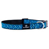 Dog Collar-Medium- Various Designs