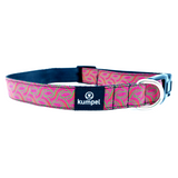 Dog Collar-Medium- Various Designs