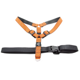 Dog Harness-Large- Various Designs