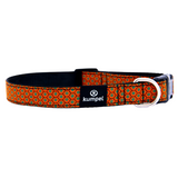 Dog Collar-Large- Various Designs