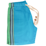 Hipster Shorts-Earthy Blue