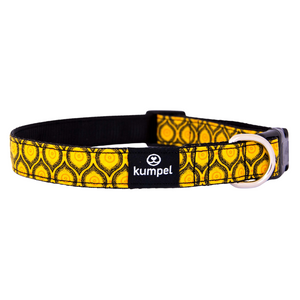 Dog Collar-Small- Various Designs