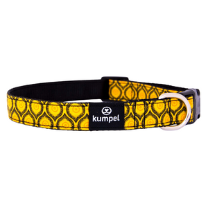 Dog Collar-Medium- Various Designs