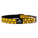 Dog Collar-Medium- Various Designs