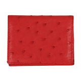 Credit Card Holder-Ostrich-Various Colours