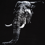 Big5 T-Shirts-Various Designs