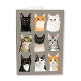 A6 Card-Patrick Latimer with Envelope-Various Designs