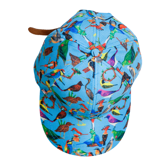 Caps-Various Designs