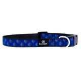 Dog Collar-Medium- Various Designs