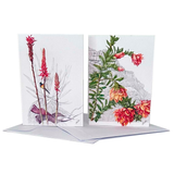 Cards with Envelopes-Pkt4-Various Designs