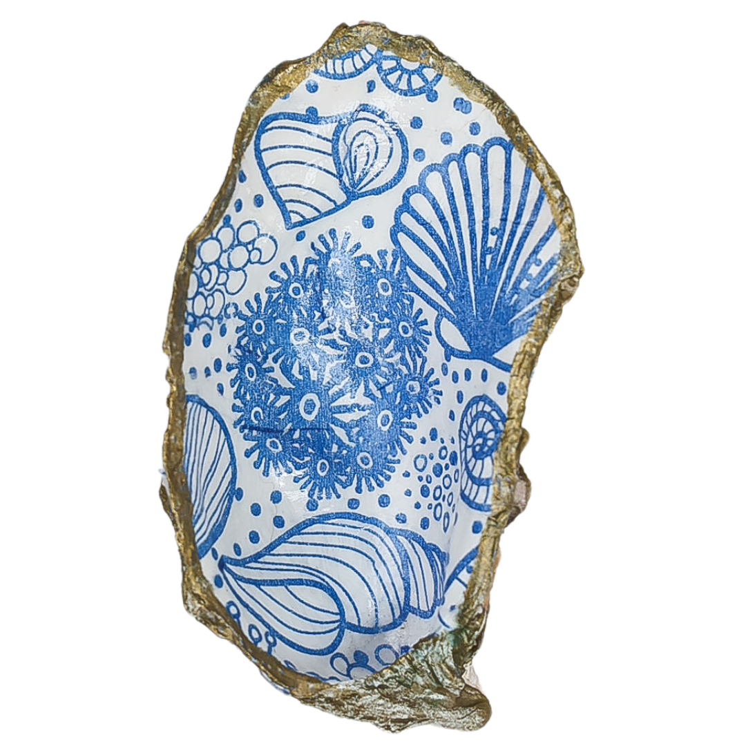 Oyster Shells-Beach Variations – THE COLLECTIVE - HOUT BAY