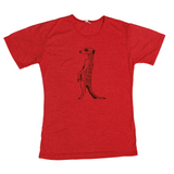 Meerkat w.Rooibos-Various Colours