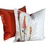 Scatter Cushion-58x58cm-Various Designs