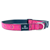 Dog Collar-Large- Various Designs