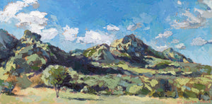 Summer Afternoon in Kirstenbosch-16X30cm- Limited Edition Print